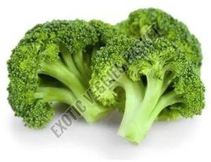 Fresh Broccoli