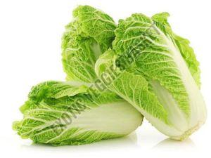 Fresh Chinese Cabbage