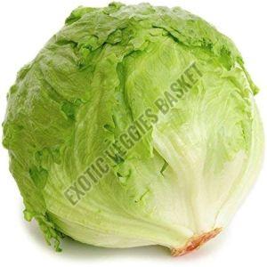 Fresh Iceberg Lettuce