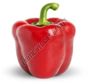 Fresh Red Capsicum