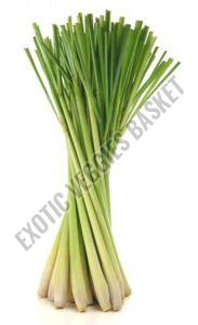 Lemongrass Herb