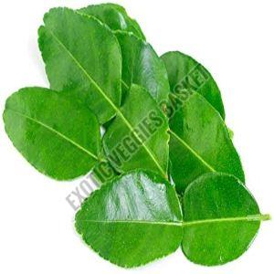 Makrut Leaves