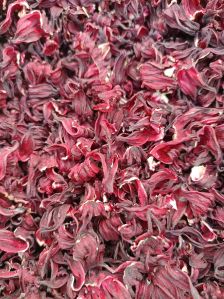 Dry Hibiscus Flower