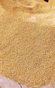 Lokwan Wheat Seeds