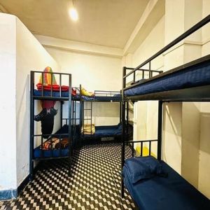 hostel dormitory student beds