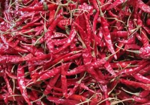 a Grade Dry Red Chilli
