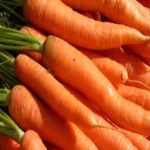 A Grade Fresh Carrot