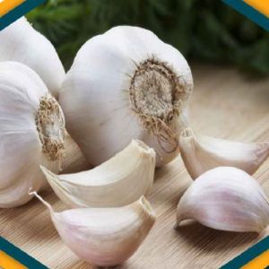 A Grade Fresh Garlic
