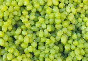 A Grade Fresh Green Grapes