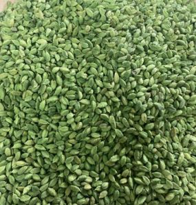 Green Cardamom