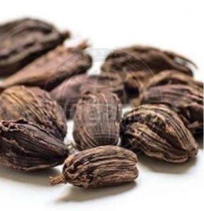 black cardamom
