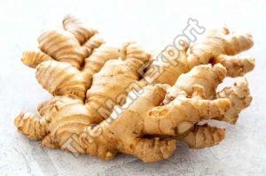 A Grade Brown Ginger