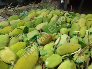 A Grade Jackfruit