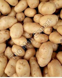Fresh Kanchan Potato