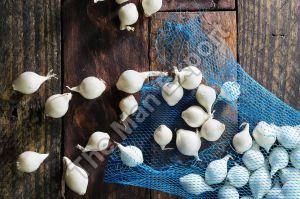 Fresh Pearl Onion