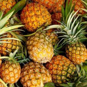 fresh sweet pineapple