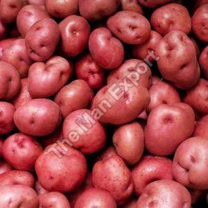 Fresh Red Potato