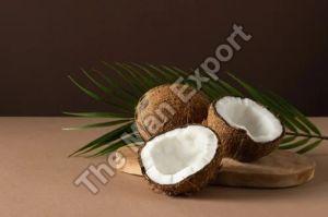 Fresh Semi Husked Coconut