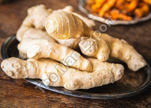 Organic Brown Ginger