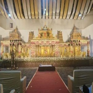 Stylish Fiber Wedding Stage