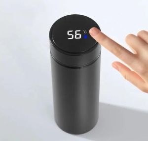 Stainless Steel Temperature Water Bottle