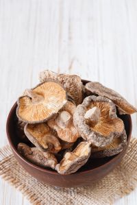 A Grade Dry Oyster Mushroom