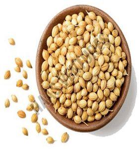 coriander seeds