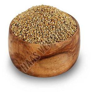 Pearl Millet Seeds