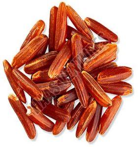 Red Cargo Rice