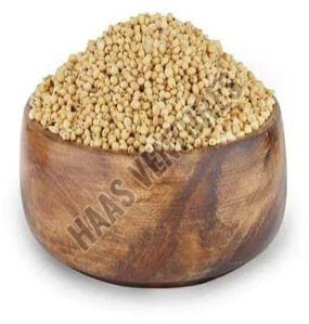 Sorghum Millet Seeds