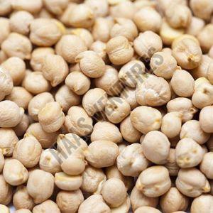 White Chickpeas
