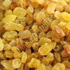 Yellow Dried Raisin