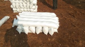 Fiber Packing in Cement Sheet