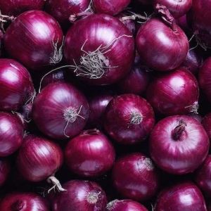 Fresh Natural Onion