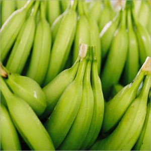 Fresh Green Banana