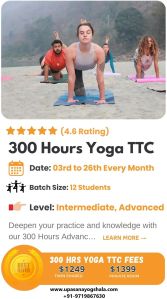 300 Hours Yoga Teacher Training in Rishikesh