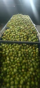 a Grade Tender Coconut