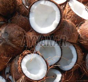 a Grade Semi Husked Coconut