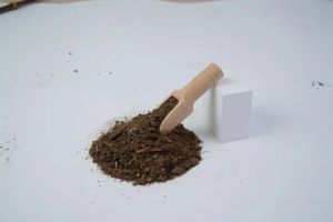 Cow Dung Powder