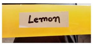 Lemon Handmade Bath Soap Base