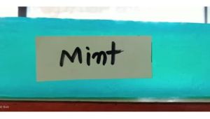 Mint Handmade Bath Soap Base