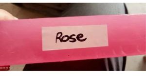 Rose Handmade Bath Soap Base