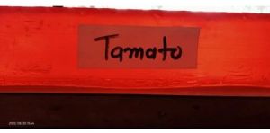 Tomato Handmade Bath Soap Base