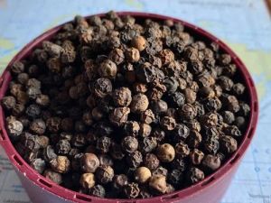 Black Pepper Seeds
