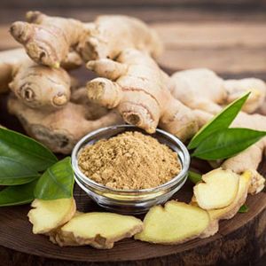 Dehydrated Ginger Powder