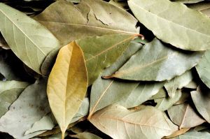 Dried Bay Leaves