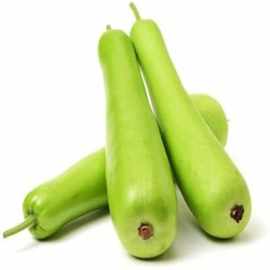 Fresh Bottle Gourd