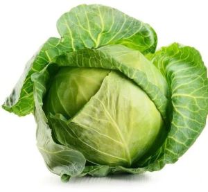 Fresh Green Cabbage