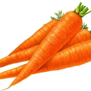 Fresh Natural Carrot