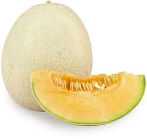 Fresh Round Muskmelon